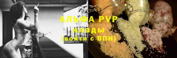 прущие грибы Алексин