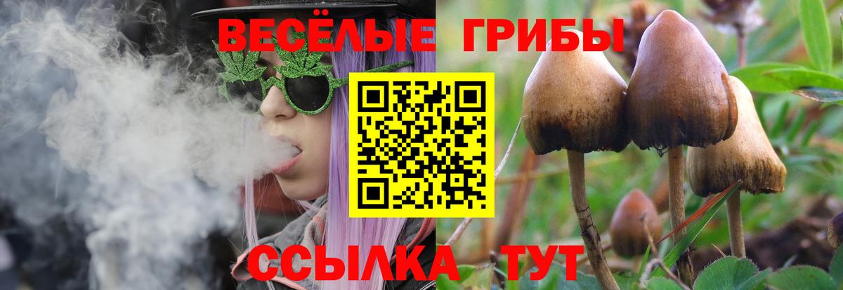 Псилоцибиновые грибы GOLDEN TEACHER  Вход с VPN  что такое наркотик  Симферополь 